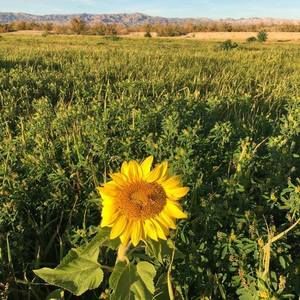 Meet your Posher, Antonette